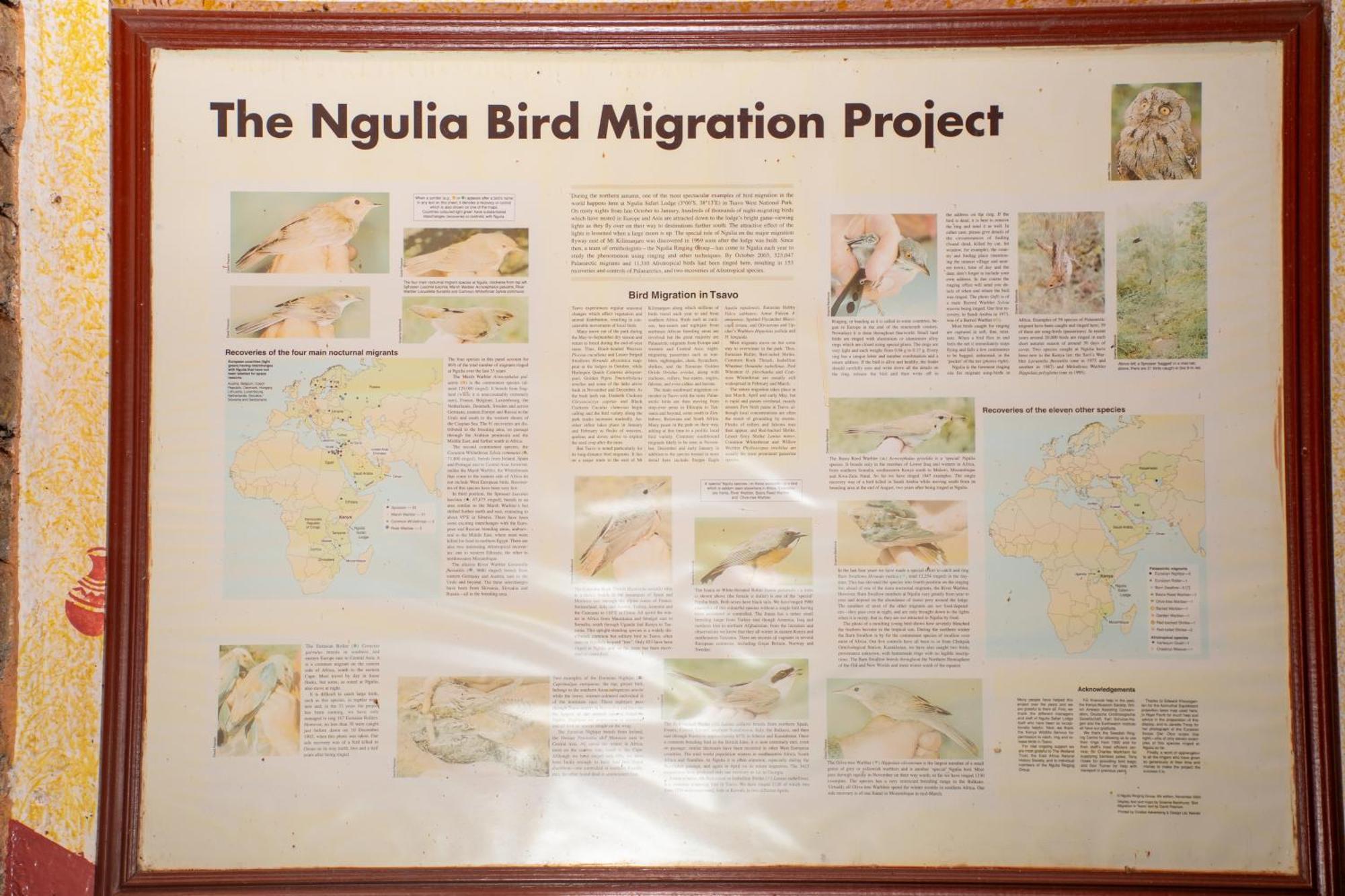 Ngulia Safari Lodge Ithumba Eksteriør bilde