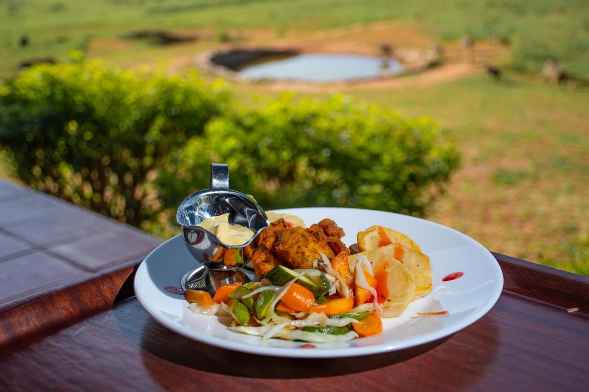 Ngulia Safari Lodge Ithumba Eksteriør bilde