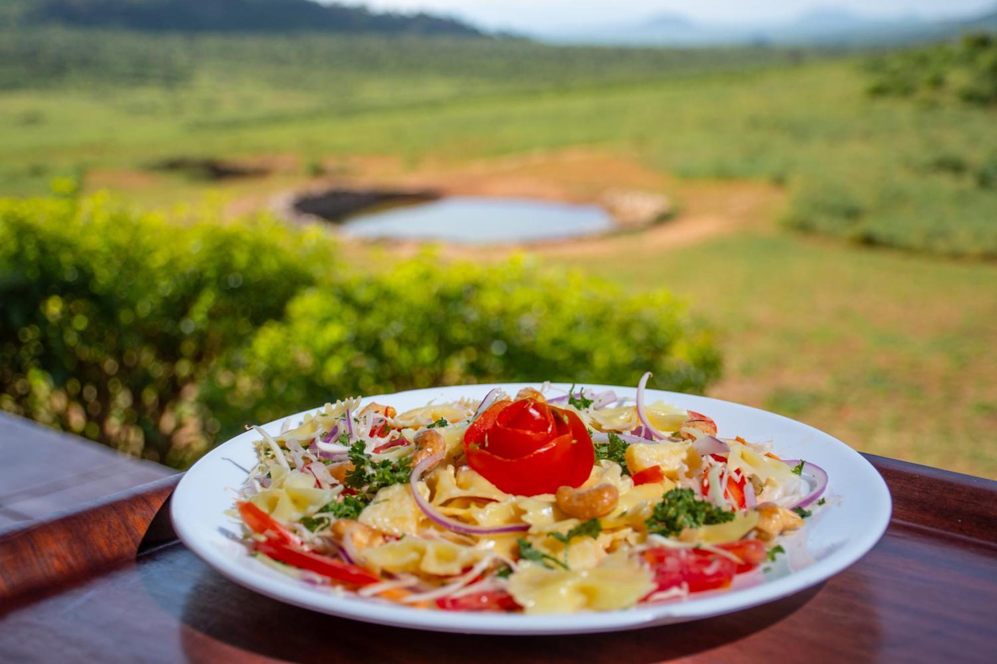 Ngulia Safari Lodge Ithumba Eksteriør bilde